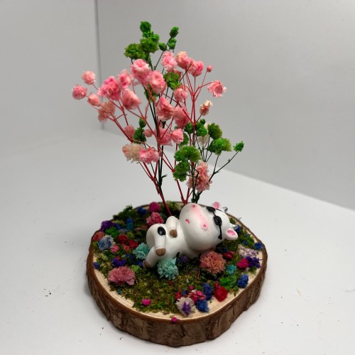 Cool Cow Laying Down